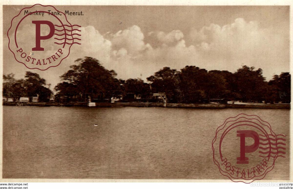 Postales: MONKEY TANK MEERUT INDIA INDIEN - Foto 1