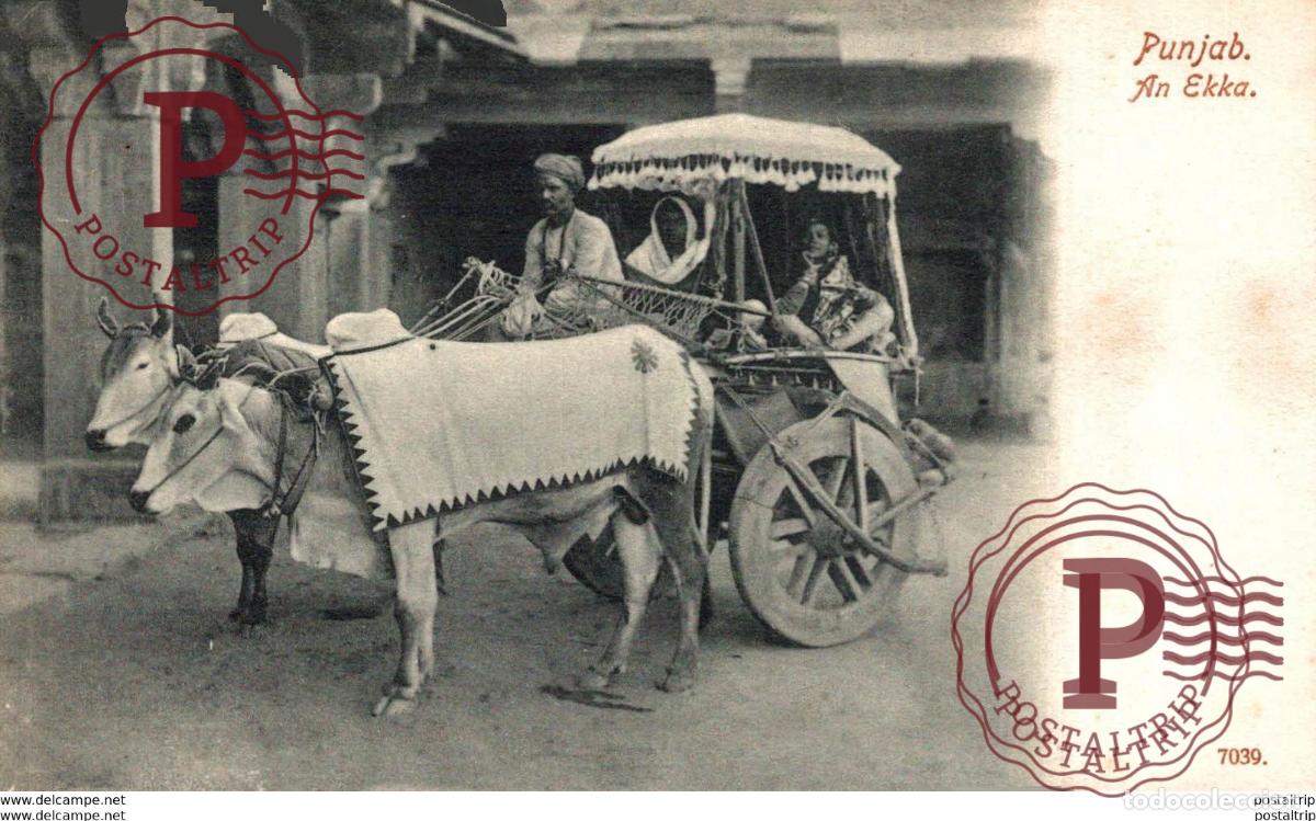 Postales: INDIA INDE. PUNJAB AN EKKA - Foto 1