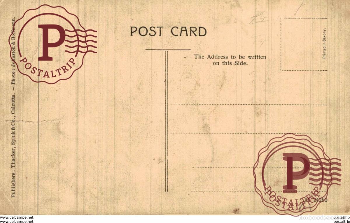 Postales: INDIA INDE. Calcutta, Bunder Wallah or Monkey Man - Foto 2