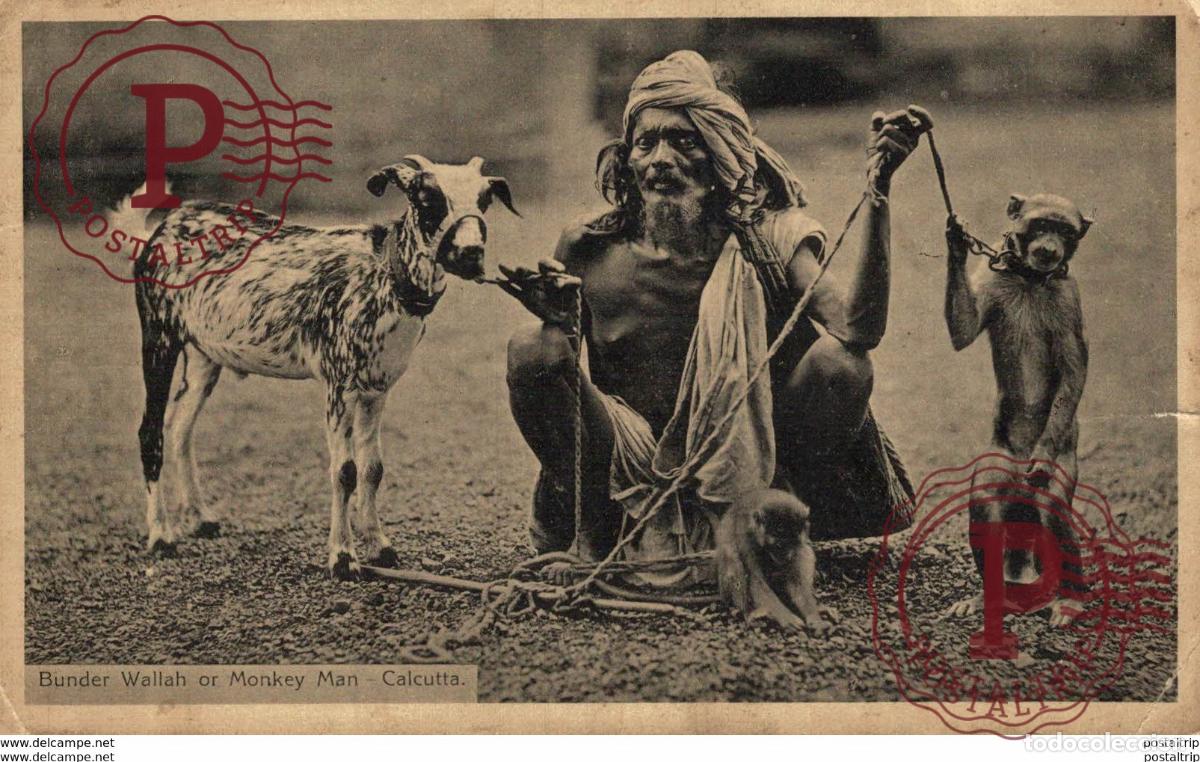 Postales: INDIA INDE. Calcutta, Bunder Wallah or Monkey Man - Foto 1