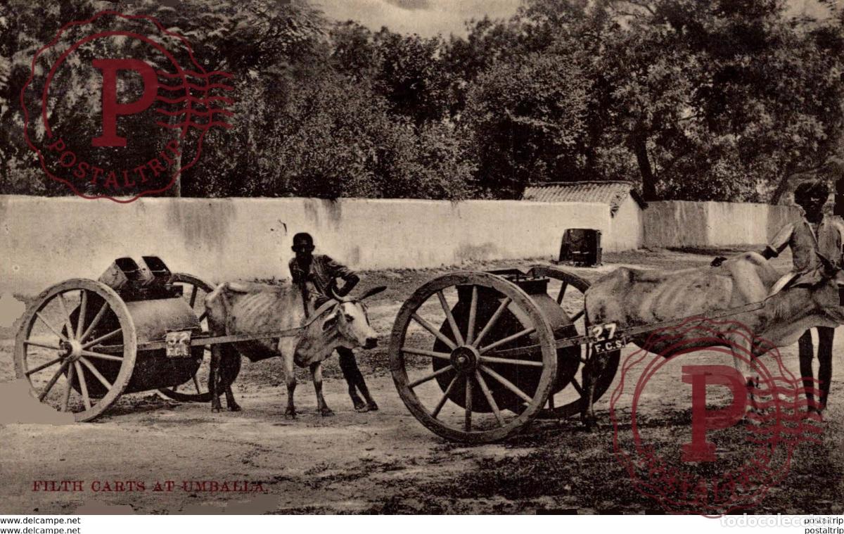 Postales: INDIA INDE. FILTH CARTS AT UMBAELA - Foto 1