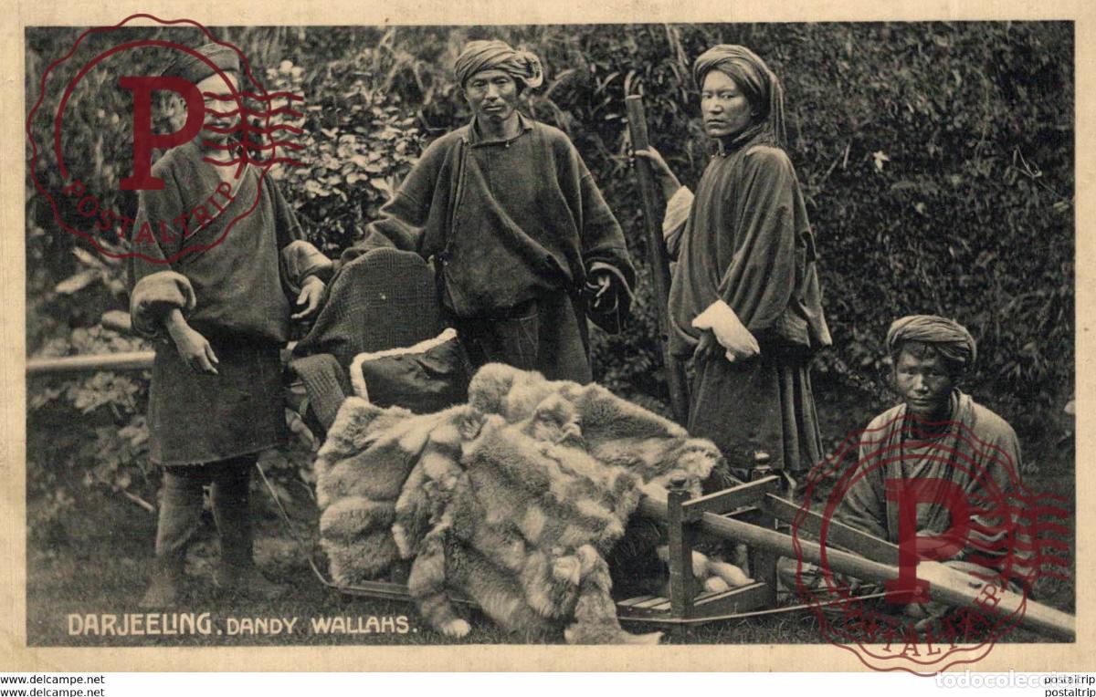 Postales: INDIA INDE. DARJEELING, DANDY WALLAHS - Foto 1