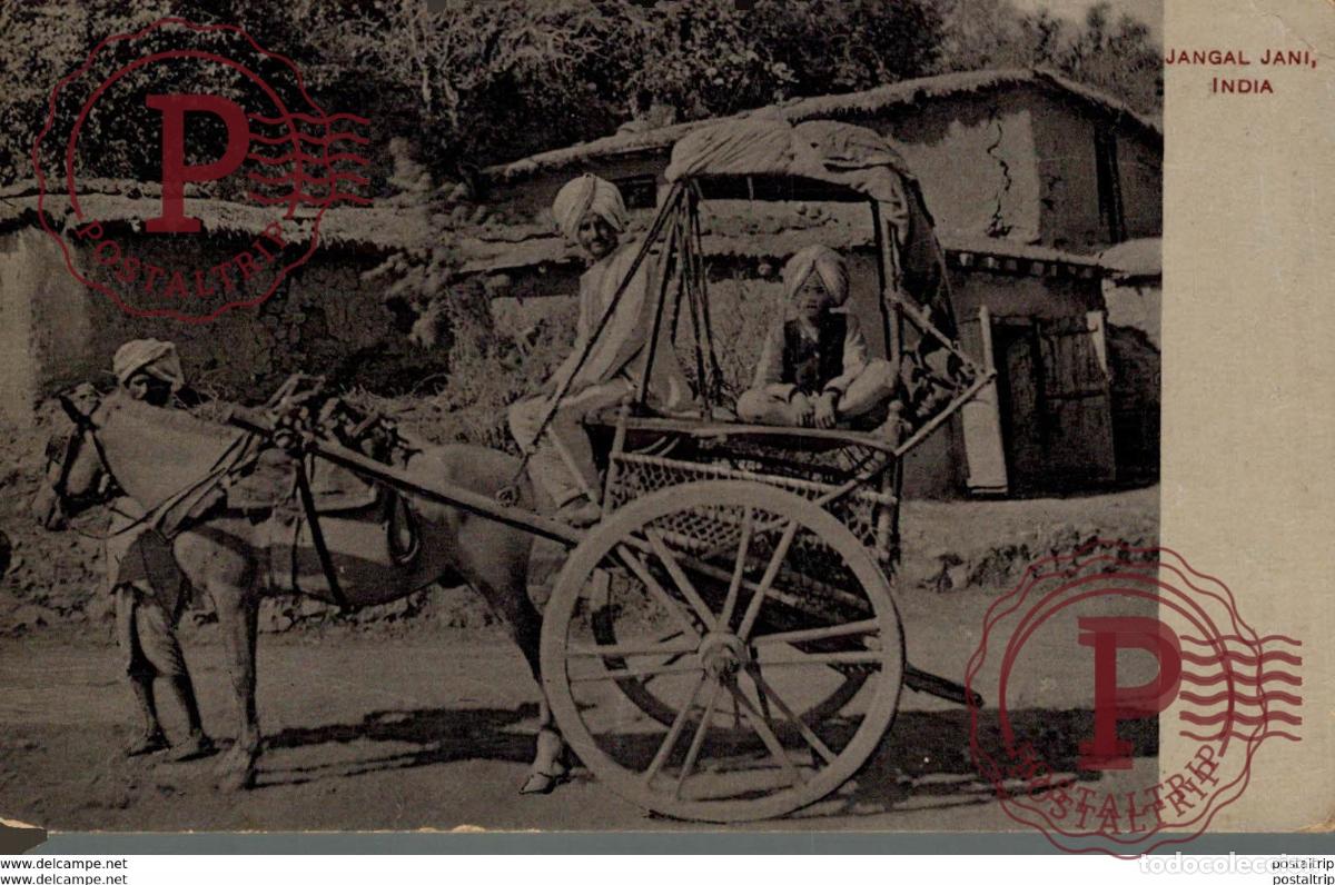 Postales: INDIA INDE. JANGAL JANI - Foto 1