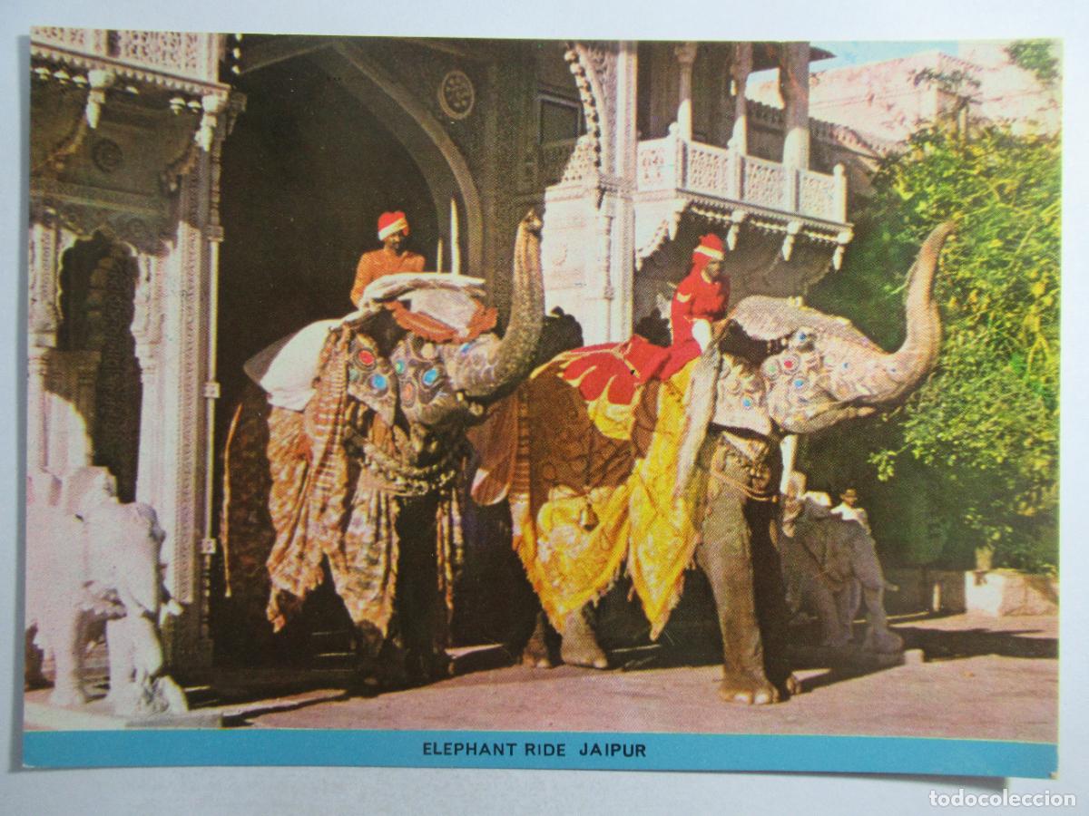 Postales: India - Elephant ride Jaipur - S/C - Foto 1