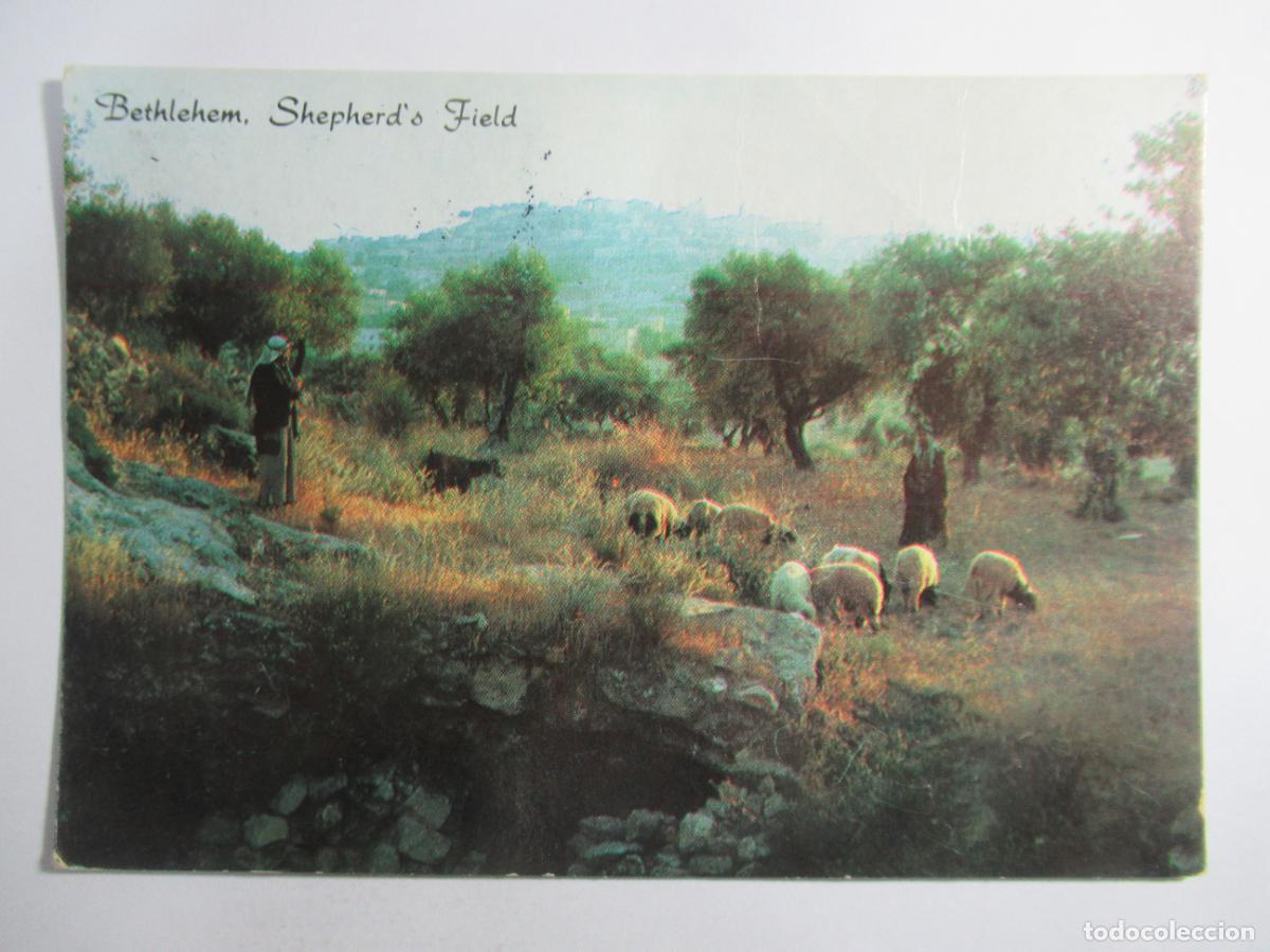 Postales: Bethlehem - Shepherd's Field - Escrita
