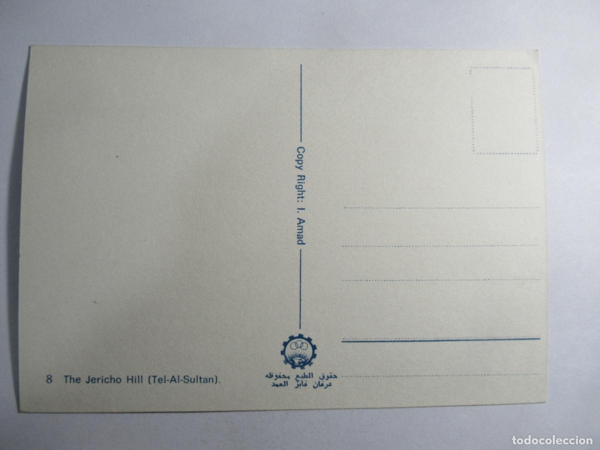 Postales: The Jericho Hill - Tel-Al-Sultan - S/C - Foto 2