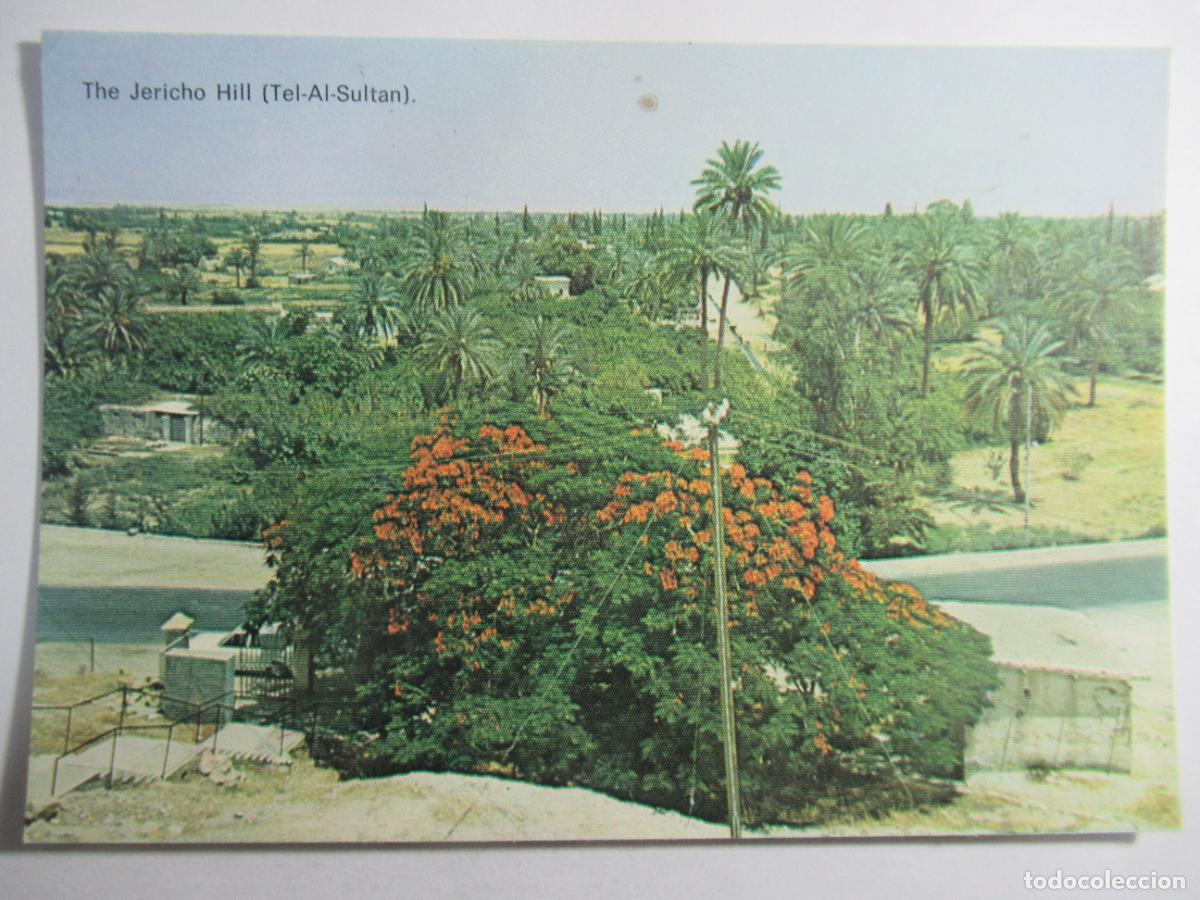 Postales: The Jericho Hill - Tel-Al-Sultan - S/C