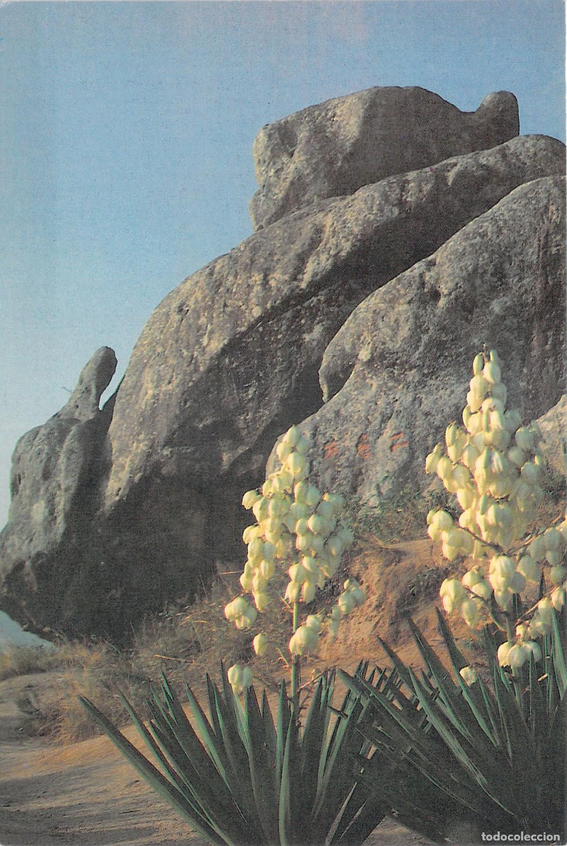 Postales: Postal de formaci&oacute;n rocosa Dos Tortugas Escuchando el Dharma, China