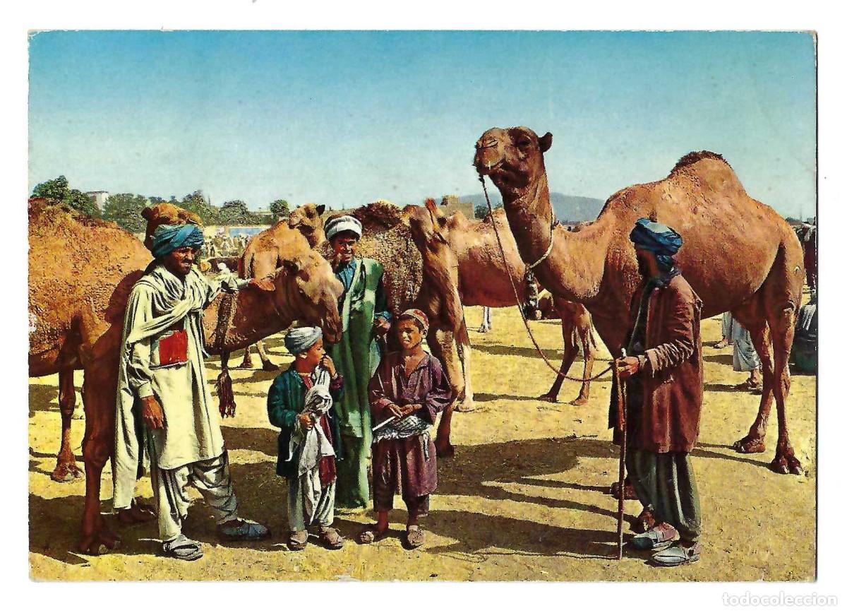 Postales: POSTAL- AFGHANISTAN.- STOCKYARD KABUL. KRUGER. CIRCULADA. 1976