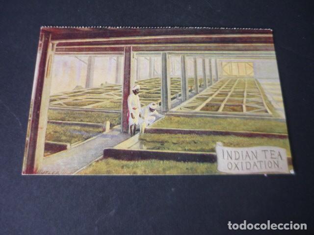 Postales: INDIA OXIDACION DEL TE