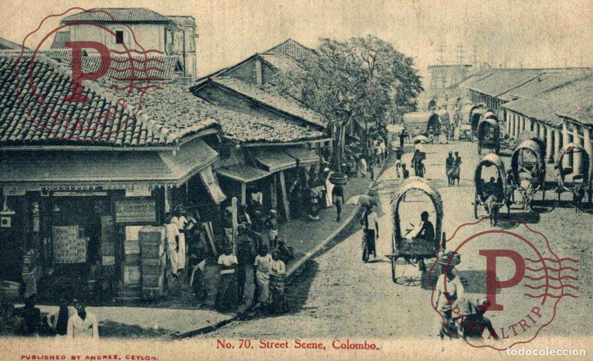 Cartoline: SRI LANKA CEYLON COLOMBO - Street scene