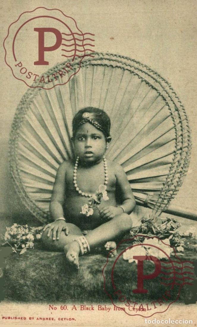 Cartoline: SRI LANKA. A Black Baby from Ceylon - Publ. Andree 60.