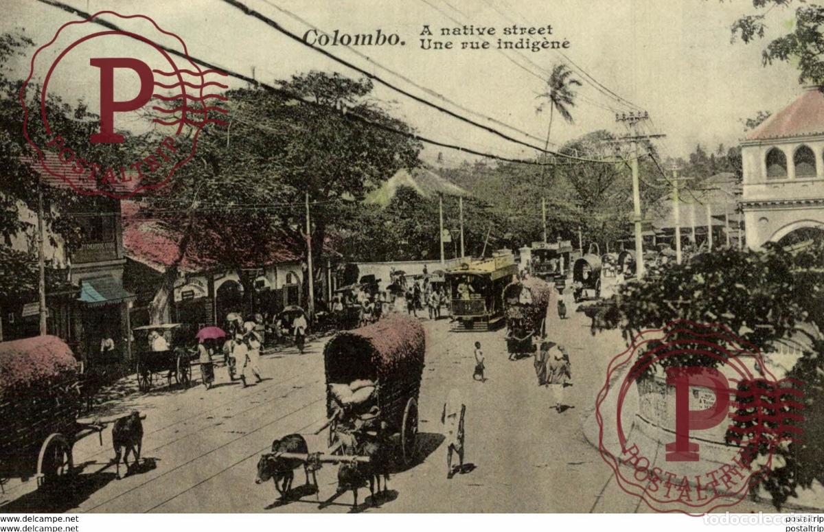 Cartoline: COLOMBO A NATIVE STREET ceylon sri lanka