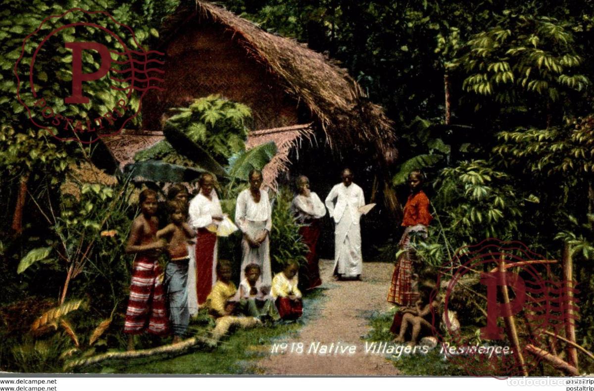 Cartoline: SRI LANKA. CEYLON. NATIVE VILLAGERS RESIDENCE