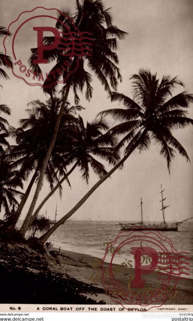 Cartoline: SRI LANKA. CEYLON. THE SEASONS GREETINGS CEYLON. A CORAL BOAT OFF THE COAST OF CEYLON. REAL PHOTO