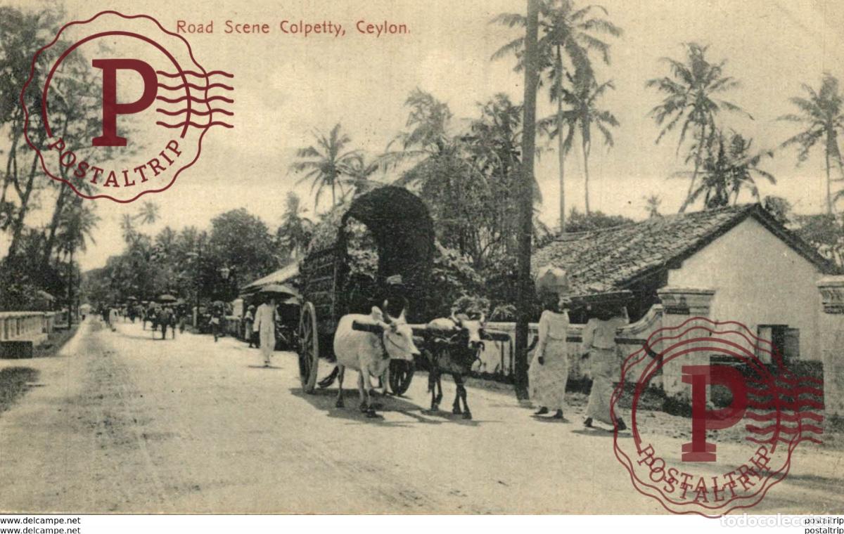 Cartoline: ROAD SCENE COLPETTY CEYLON SRI LANKA . CEYLON CEYLAN