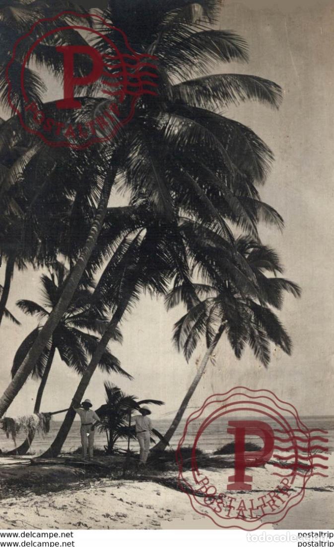 Cartoline: SRI LANKA CEYLON. REAL PHOTO