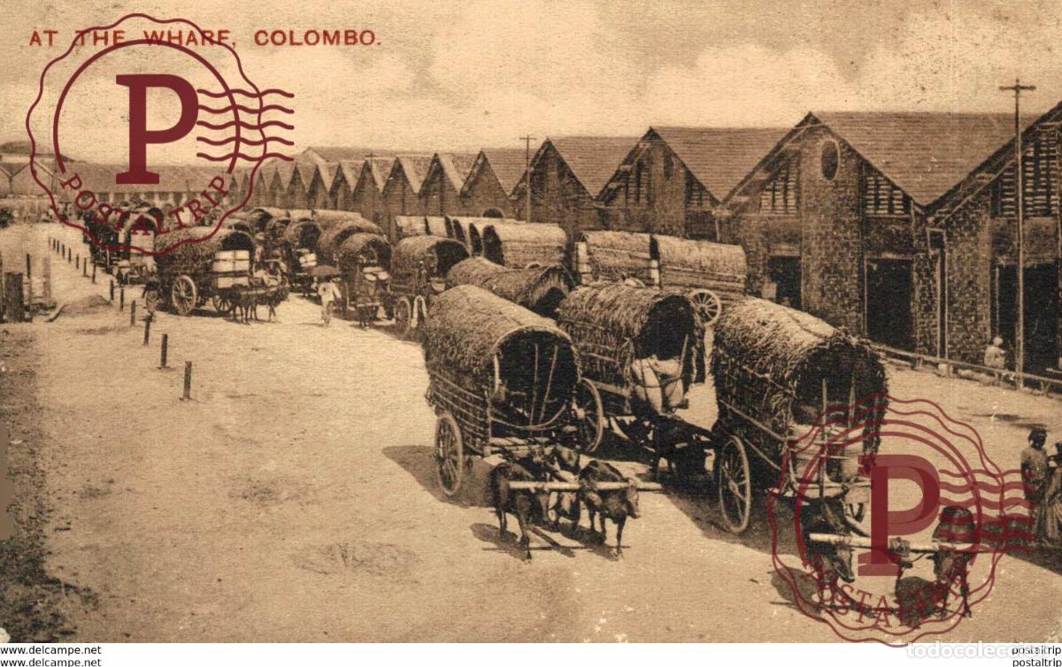 Cartes Postales: SRI LANKA CEYLON. AT THE WHARF COLOMBO