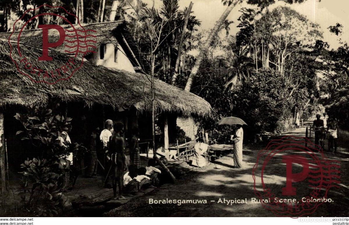 Postales: SRI LANKA CEYLON. Boralesgamuwa - Atypical Rural Scene - Colombo. - REAL PHOTO