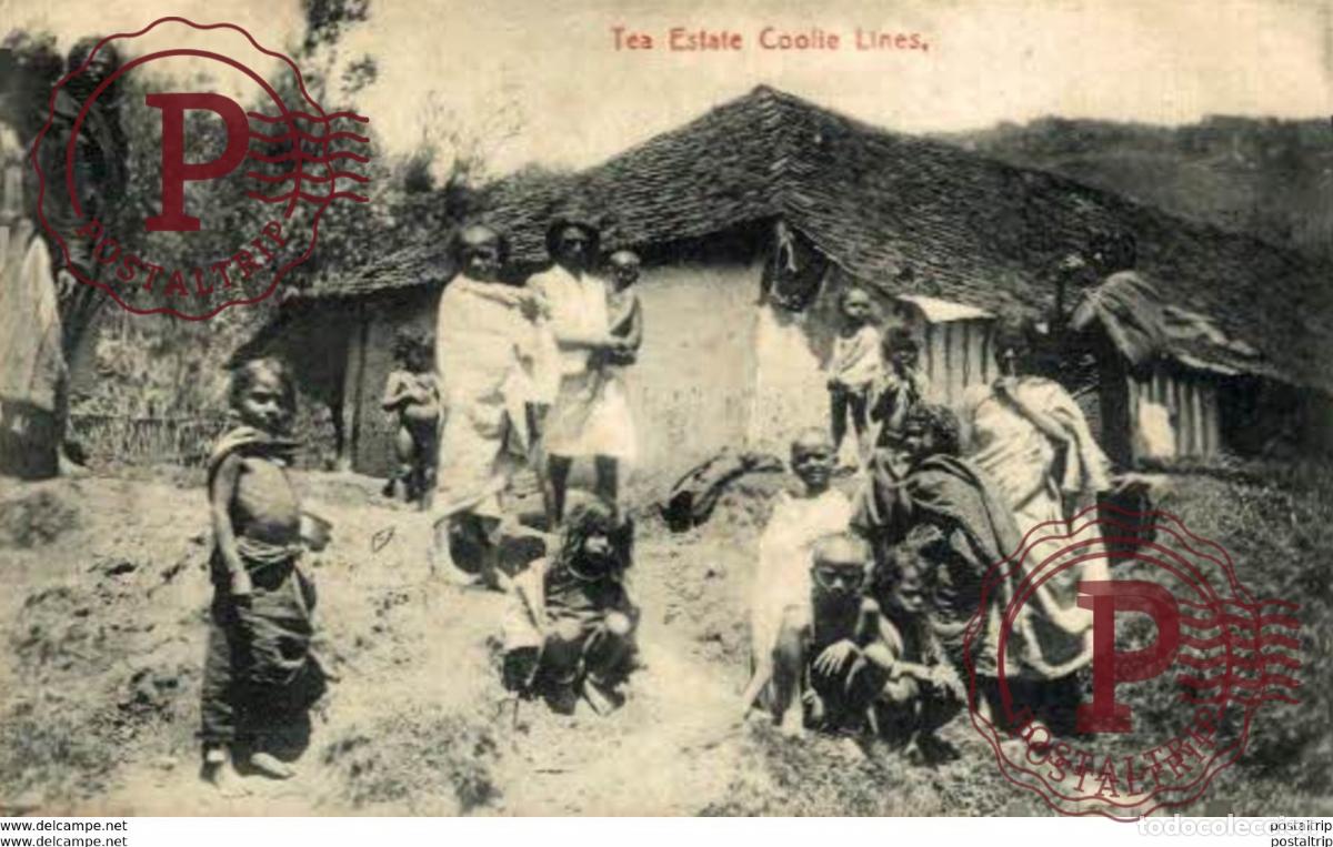 Postales: SRI LANKA CEYLON. TEA ESTATE COOLIE LINES