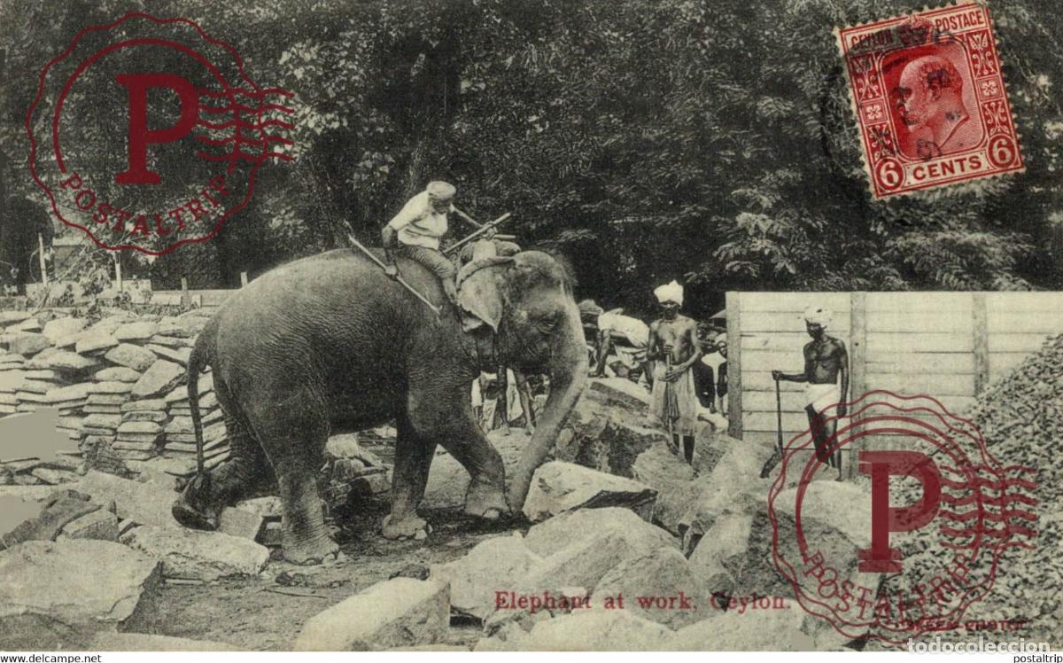 Postales: SRI LANKA - CEYLON - &Eacute;l&eacute;phant at work
