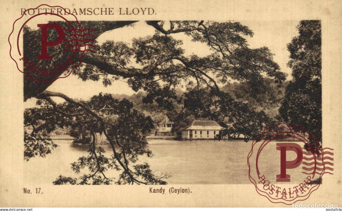 Postales: SRI LANKA- Rotterdamsche Lloyd - Kandy Ceylon