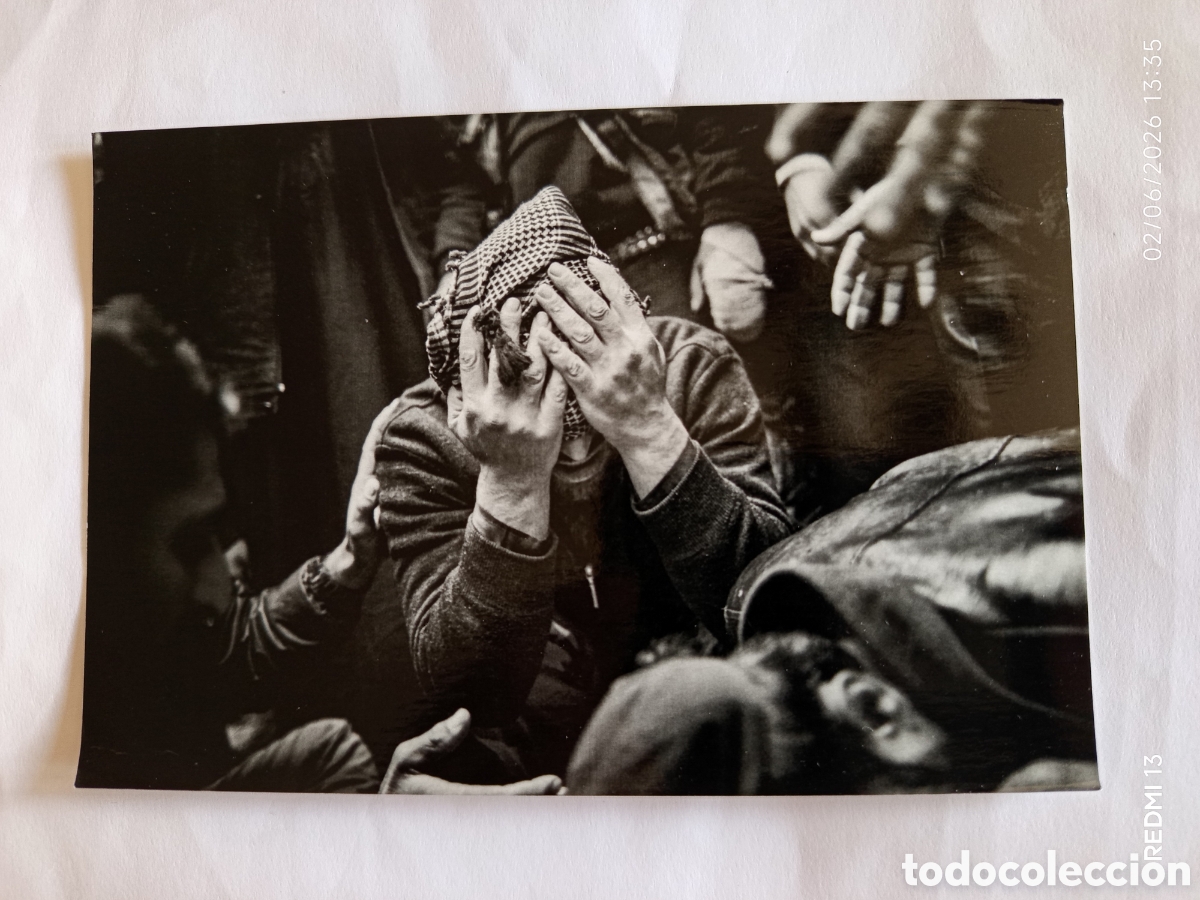Postales: SIRIA. FABIO BUCCIARELLI Y MANU BRASO
