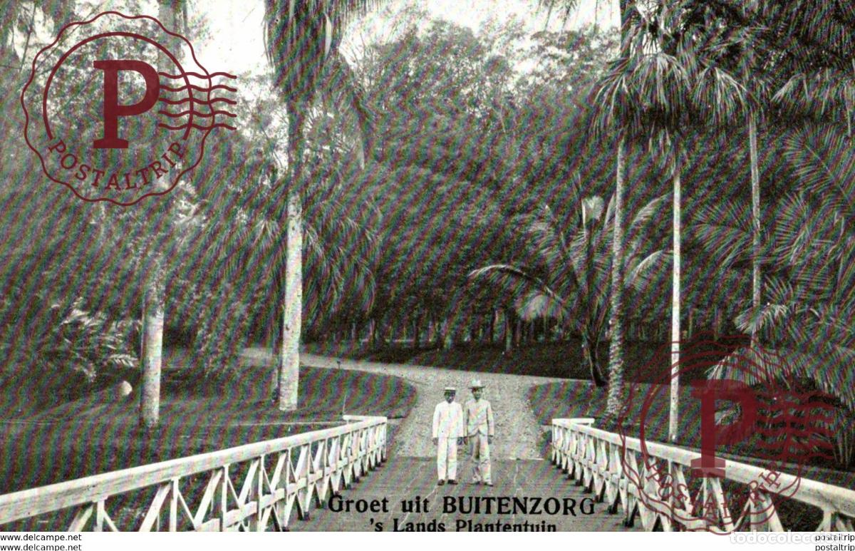 Postales: INDONESIA. GROET BUITENZORGS LANDS PLANTENTUIN