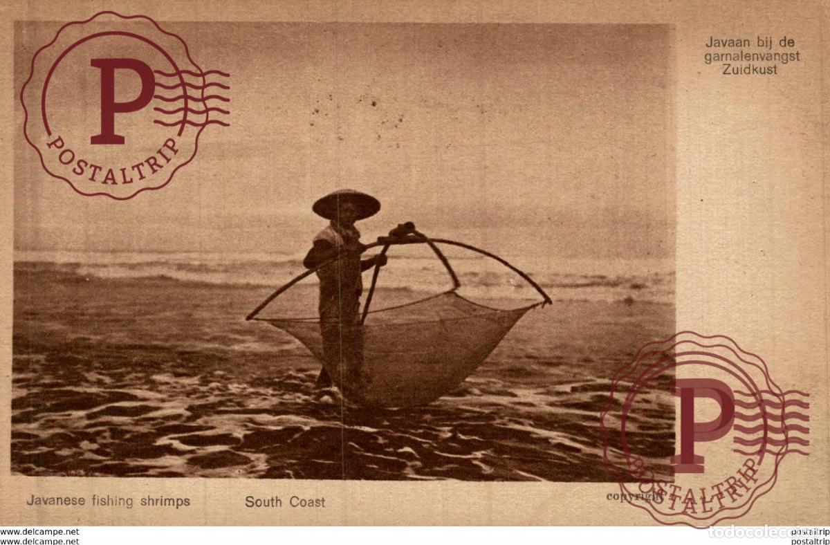 Postales: INDONESIE INDONESIA. JAVANESE FISHING SHRIMPS JAVAAN BIJ DE GARNALENVANGST. SOUTH COAST