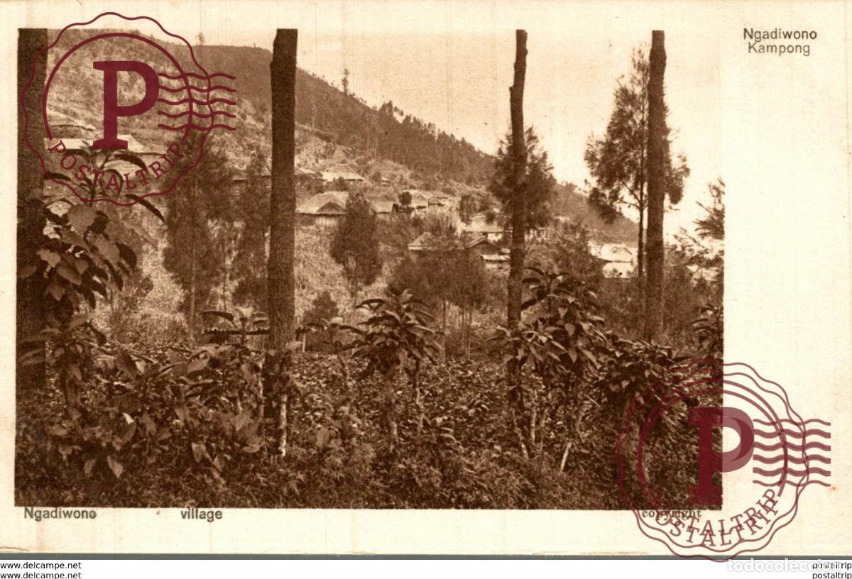 Postales: INDONESIE INDONESIA. NGADIWONO KAMPONG