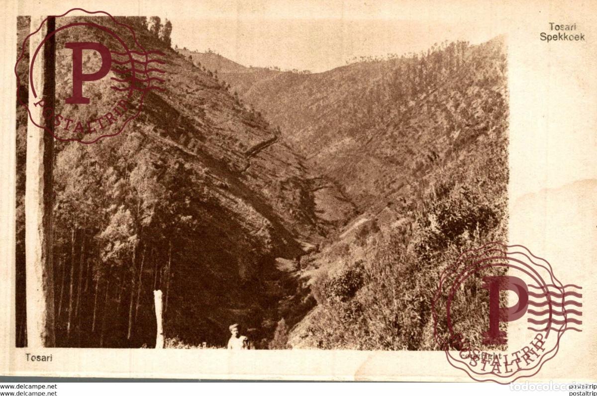 Postales: INDONESIE INDONESIA. TOSSARI. SPEKKOEK