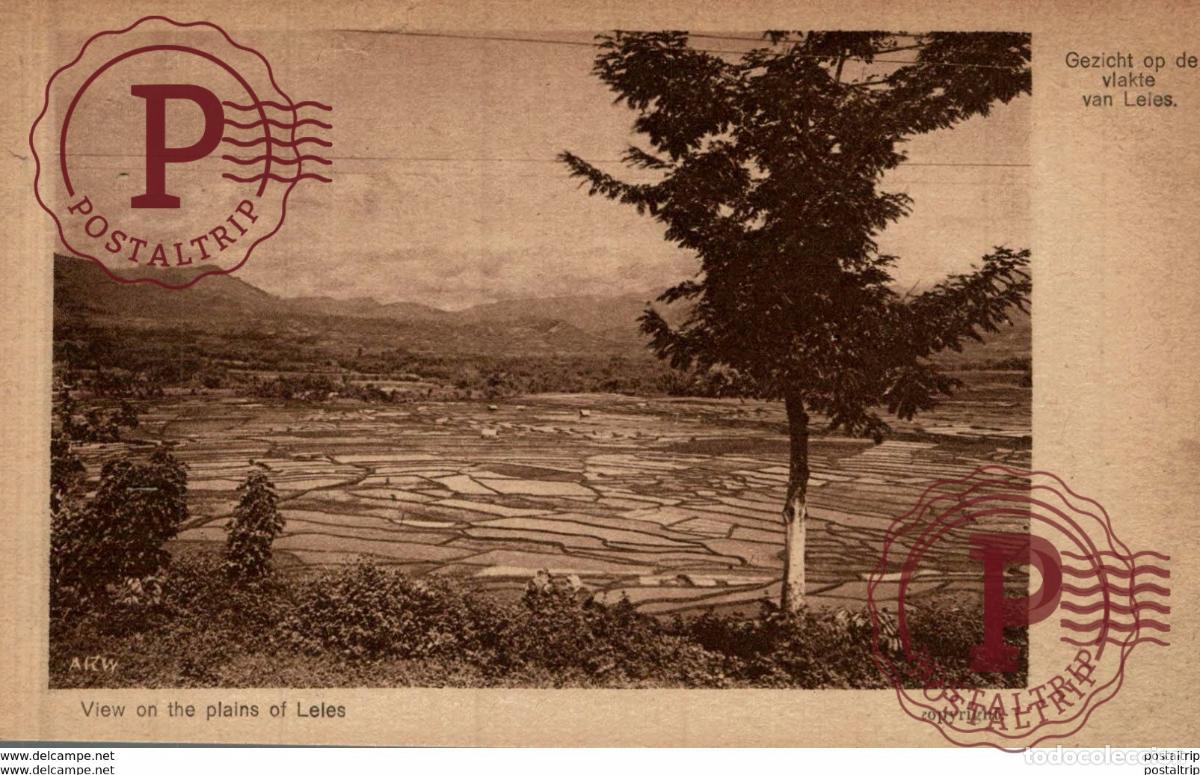 Postales: INDONESIE INDONESIA. VIEW ON THE PLAINS OF LELES