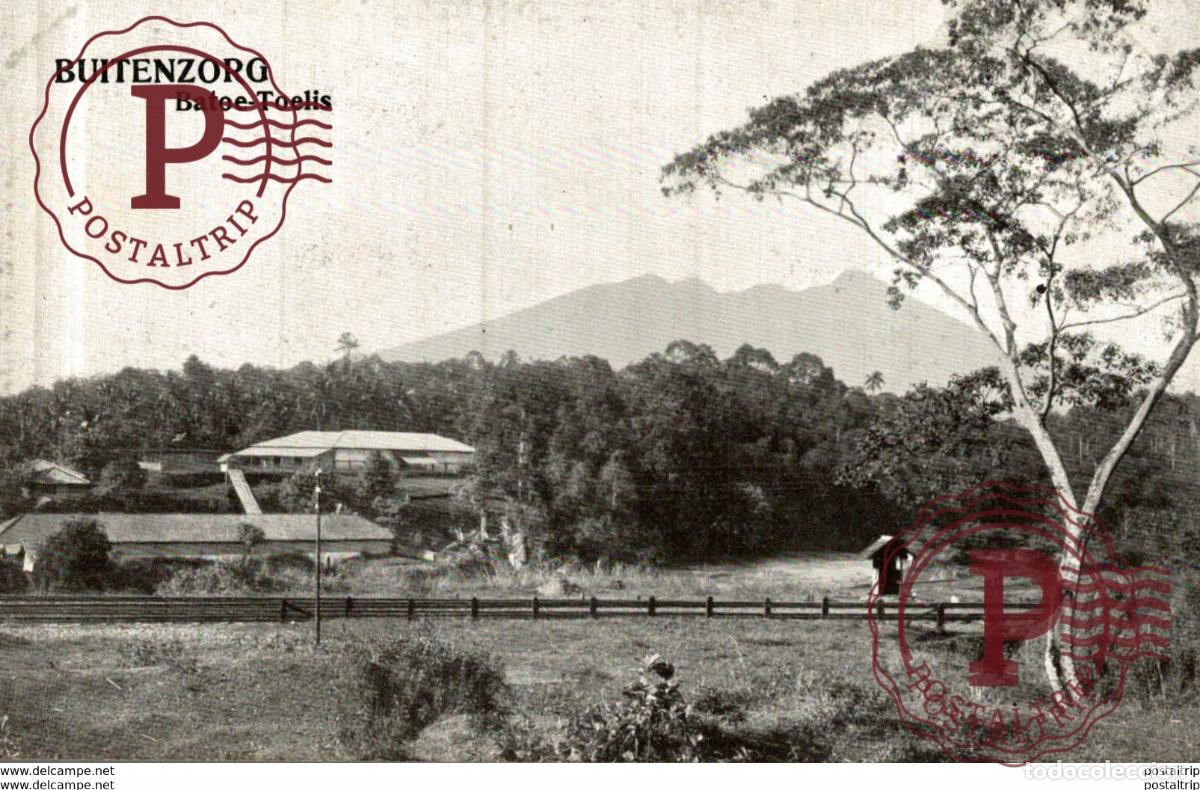 Postales: INDONESIE INDONESIA. BUITENZORG. BATOE TOELIS
