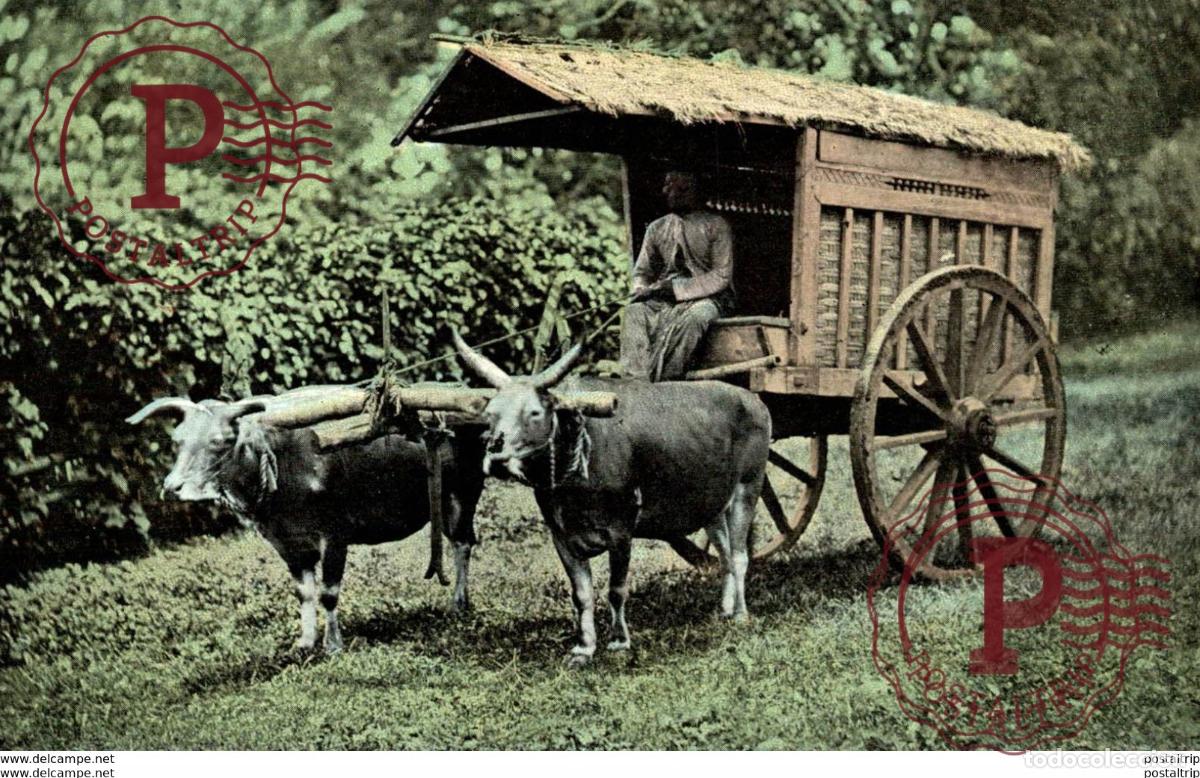 Postales: Een Transportwagen met Karbouwen Glinding genaamd-No. 4224 Uitgave La Rivi&egrave;re & Voorhoeve Zwolle