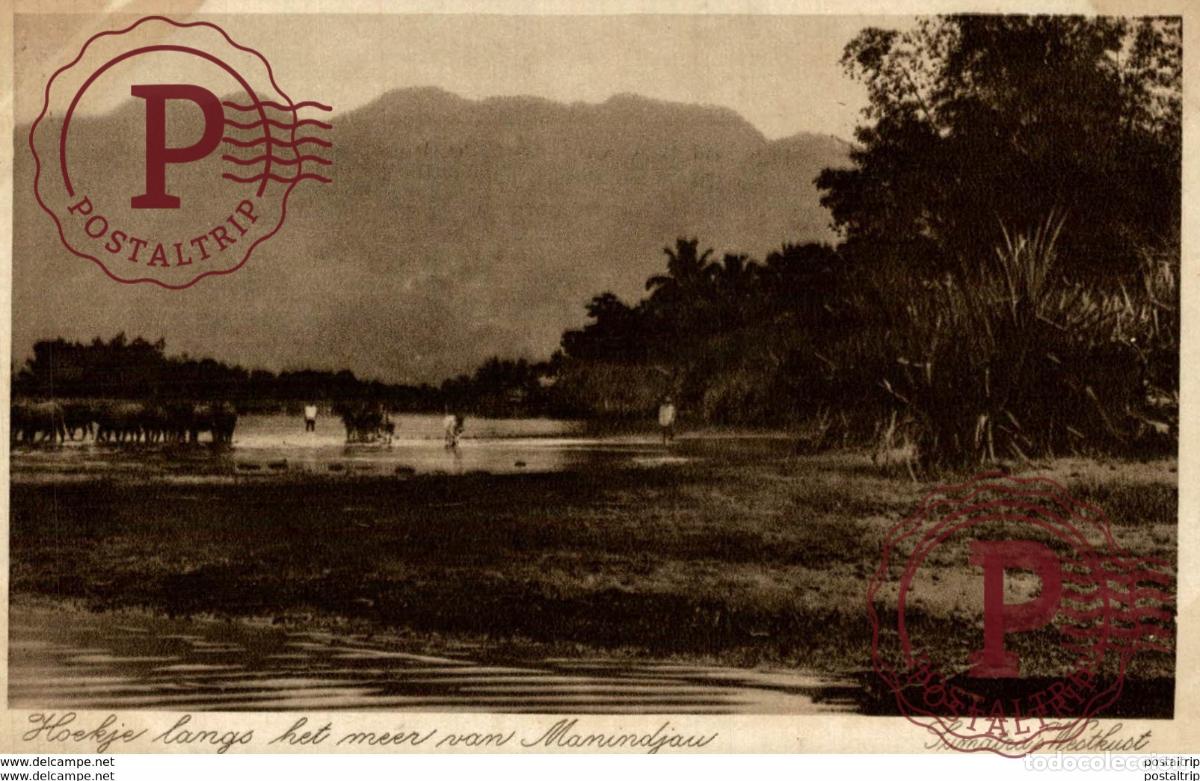 Postales: INDONESIA Hoekje langs het meer van Manindjau INDONESIE INDONESIA.