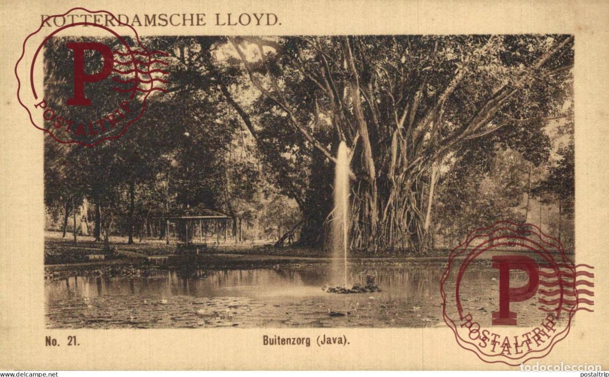 Postales: INDONESIA. BUITENZORG. JAVA.
