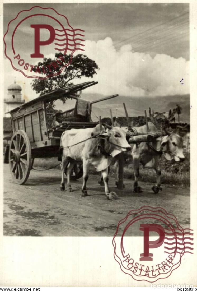 Postales: INDONESIA. Katholiek Thuisfront Street scene