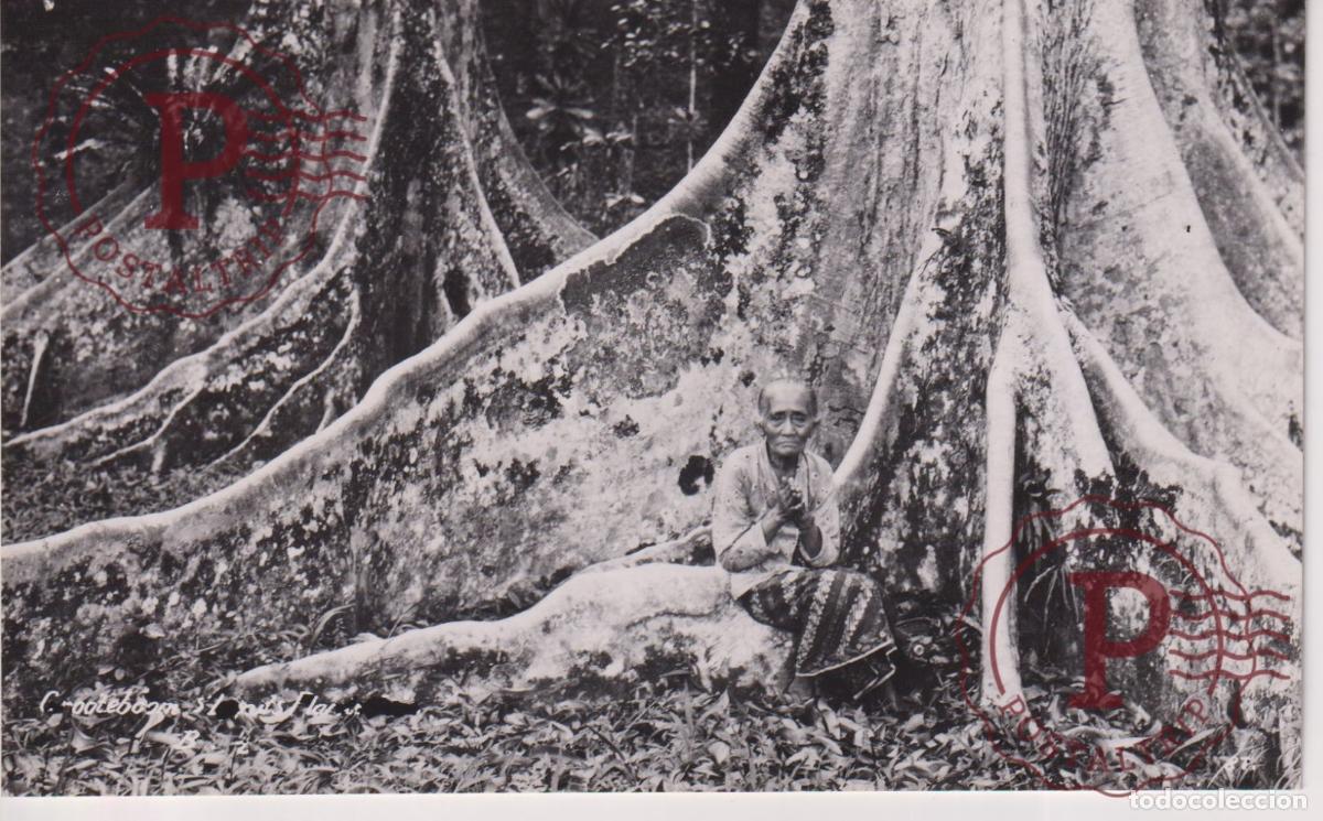 Postales: ASIA. INDONESIA. INDONESIE. RPPC. FOTOGRAFICA