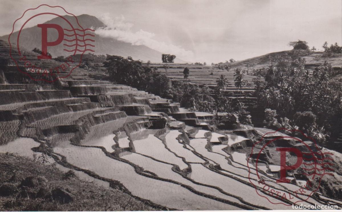 Postales: ASIA. INDONESIA. INDONESIE. RPPC. FOTOGRAFICA