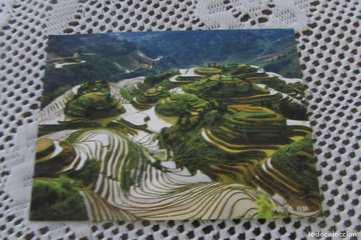 Postais: CAMPOS DE ARROZ EN CHINA LAVERTON