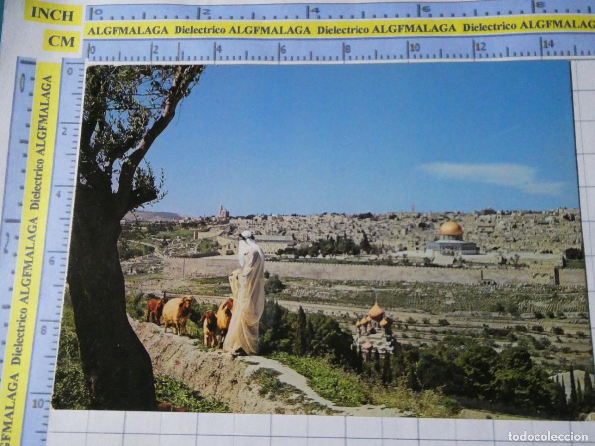 Postales: POSTAL DE ISRAEL. JERUSALEM JERUSALEN MONTE DE LOS OLIVOS PASTOR REBA&Ntilde;O. 1481