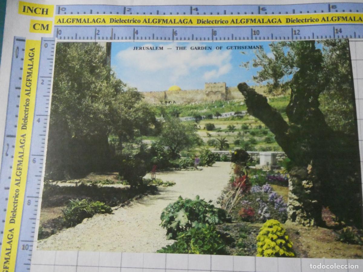 Postales: POSTAL DE ISRAEL. JERUSALEM JERUSALEN JARD&Iacute;N DE GETSEMAN&Iacute;. 1484