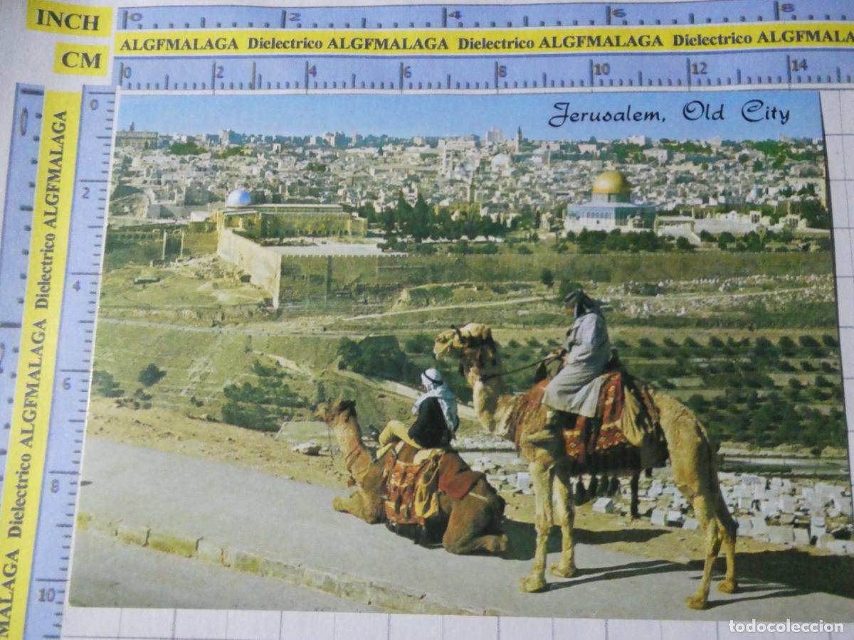 Postales: POSTAL DE ISRAEL. JERUSALEM JERUSALEN OLD CITY. CAMELLOS 1489