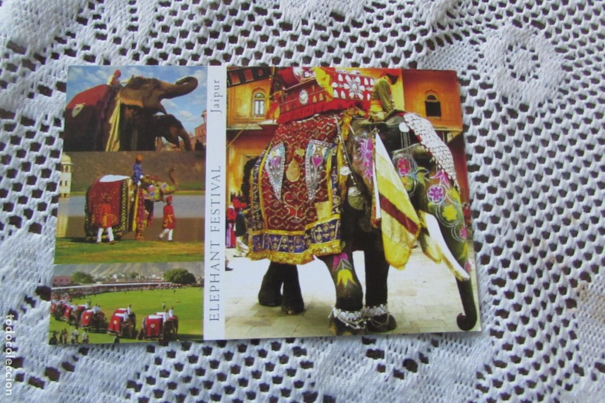Postales: Postal India. Jaipur. Elefante. Sin circular