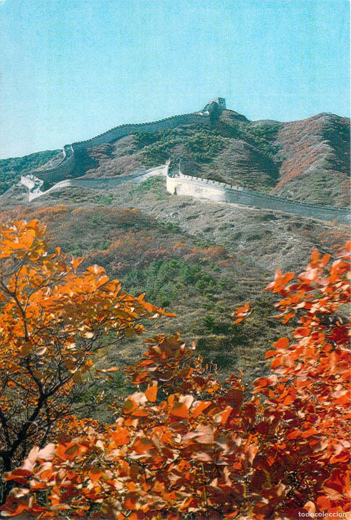 Postales: Postal de la Gran Muralla China con Hojas Rojas de Oto&ntilde;o