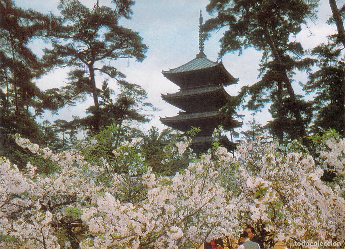 Postales: Postal de Cerezos en Flor en el Templo Ninnaji, Kioto