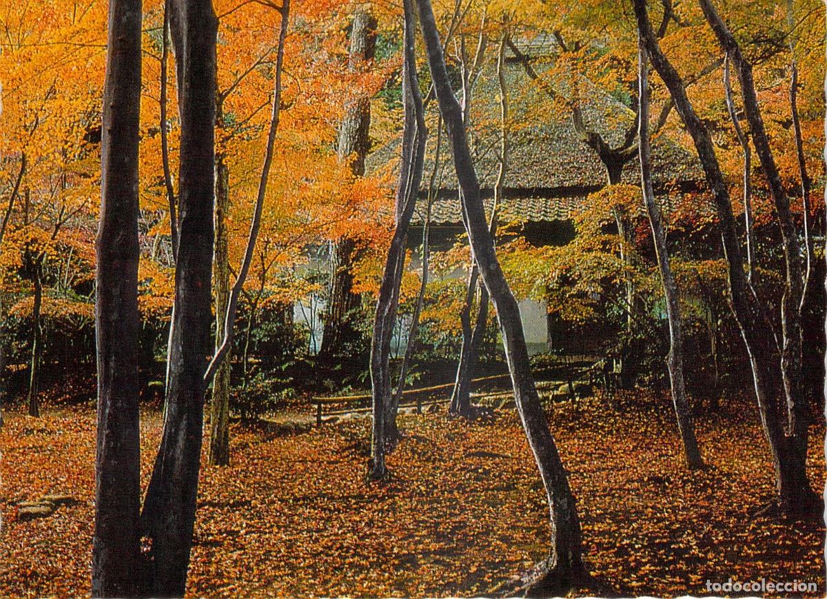 Postales: Postal Templo Gioji en Oto&ntilde;o Kioto Jap&oacute;n
