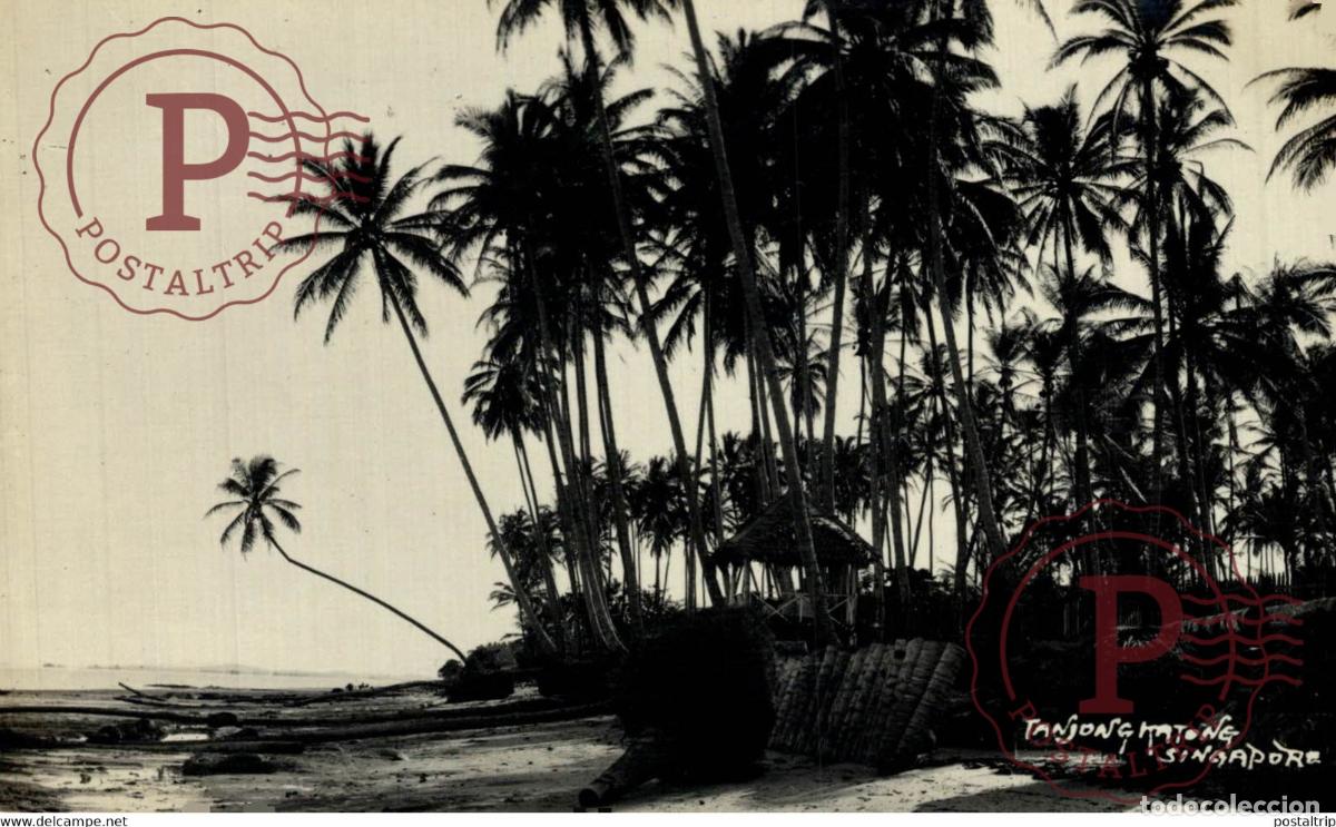 Postkarten: TANJONG KATONG PALMS RPPC SINGAPORE SINGAPUR ASIA