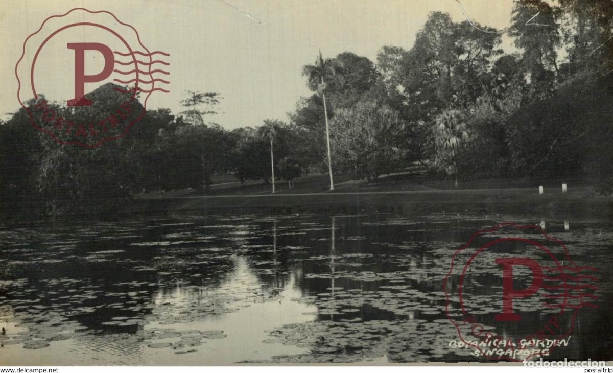 Postkarten: BOTANICAL GARDEN LAKE SINGAPORE SINGAPUR ASIA