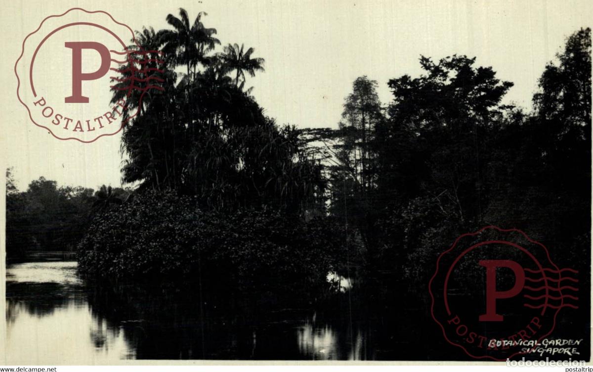 Postkarten: BOTANICAL GARDEN TREES AND LAKE SINGAPORE SINGAPUR ASIA